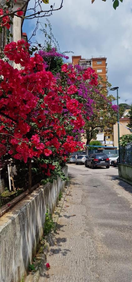 B&B Ciruzzo Naples Luaran gambar